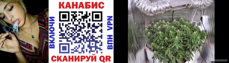 Канабис AK-47 Суворов